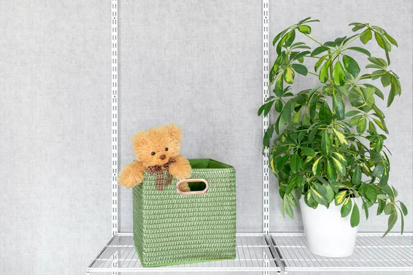 Toy bear peeks out of a large green storage box. Houseplant Schefflera on a mesh shelf. Grid system for organizing storage in a modern home. Copy space