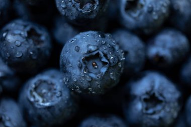 Metnin için fotokopi alanı olan taze yabanmersini arkaplanı. Vejetaryen ve vejetaryen kavramı. Yaban mersinli makarnanın dokusu. Yaz sağlıklı yemekleri. Seçici odak