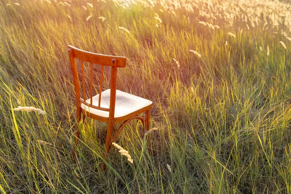 Old Vintage Wooden Chair Meadow Sunset Loneliness Emptiness Tranquility Concept Stock Image