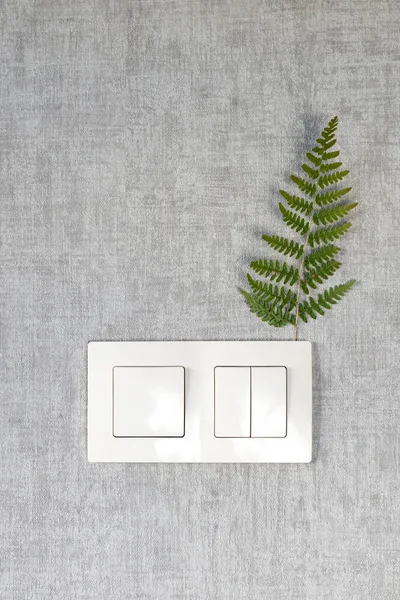 Modern Light Switch Grey Wall Dry Fern Twig Used Decorative — Stock Photo, Image