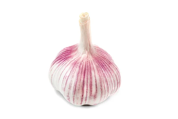 乾燥したニンニク球は白い背景で隔離される 鋭い味と刺激的な香りを持つ人気の野菜作物 — ストック写真