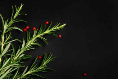 Taze biberiye ve koyu arkaplanda Schinus terebinthifolius 'un pembe biber taneleri. Mutfak temalı bir tasarım için atölye ya da boş. Üst Manzara. Boşluğu kopyala