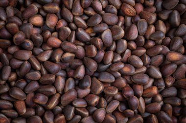 Bir sürü soyulmamış çam fıstığı. Sağlıklı bir yemek geçmişi için Sibirya çam fıstığı. Boşluğu kopyala