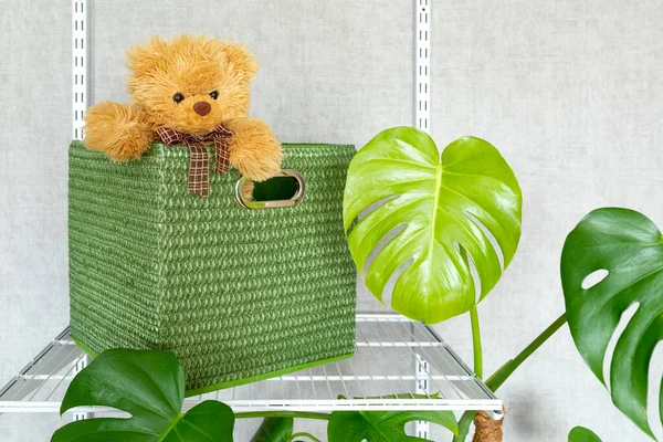 A toy bear peeks out of a large green storage box. Grid system for organizing storage in a modern home.