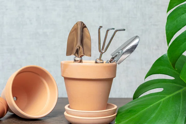 Ceramic Pots Small Gardening Tools Next Monstera Leaves Indoor Plant — Stock Photo, Image
