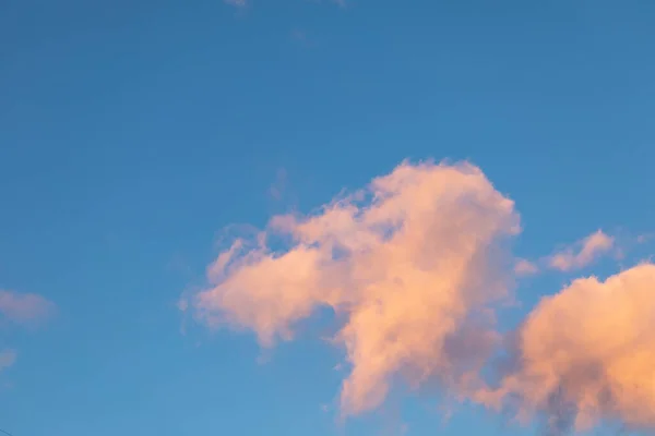 하늘을 배경으로 분홍색 오렌지색 클로즈업 — 스톡 사진