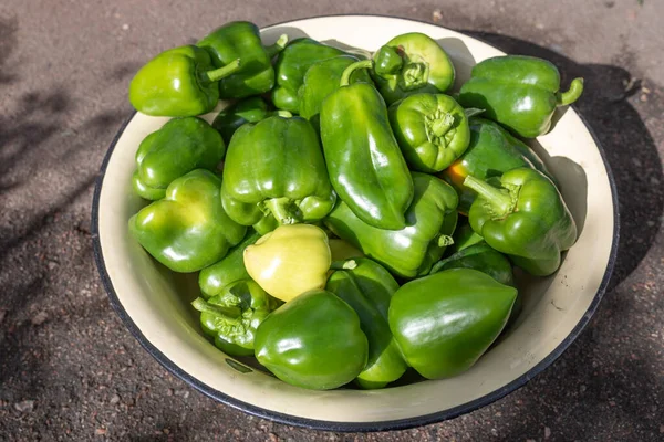 Poivron Vert Dans Bol Métal Thème Récolte Cultiver Des Légumes — Photo