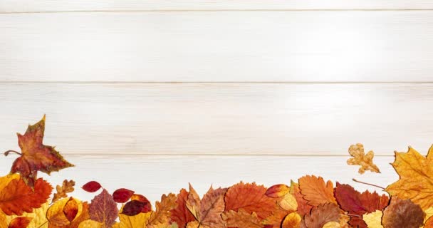 Stop animacji ruchu drewnianej tablicy z zestawem fraz tekstowych Witam Jesień i suche liście spadły na jasnym drewnianym tle. Jesienny sezon, czas zbiorów, opadanie liści, jesienny pomysł. — Wideo stockowe