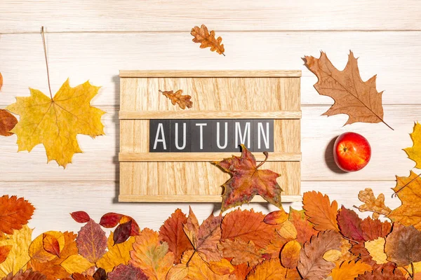 Holztafel Mit Dem Schriftzug Herbst Rotem Reifen Apfel Und Trockenem — Stockfoto