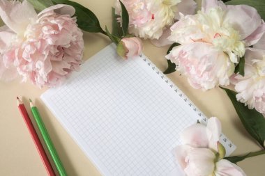 Baharda bir kafeste bir defter ve renkli kalemler, büyük bej çiçekler ve bej arka planda şakayık tomurcukları. Üst Manzara. Boşluğu kopyala