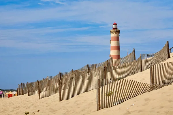 Vista Valla Dunas Para Controlar Erosión Del Viento Fomentar Estabilidad — Foto de Stock