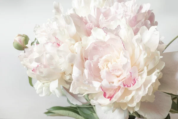 Bouquet Peonies Close Image Design Greeting Cards Theme Wedding Valentine — Stock Photo, Image