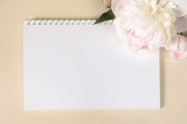 Büyük bej-pembe şakayık çiçeği ve arka planda hafif kağıt üzerine yaylı defter. Düğün teması, Anneler Günü, doğum günü ve diğer kutlamalar için tebrik kartı tasarımı. Boşluğu kopyala