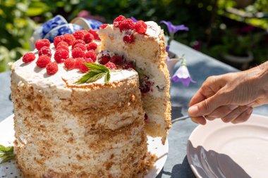 Parlak, güneşli bir sabahta bahçede bir masada ev yapımı ahududulu kek. Yakınlarda tek parça olmayan bir pasta var. Yaz tatili kavramı.