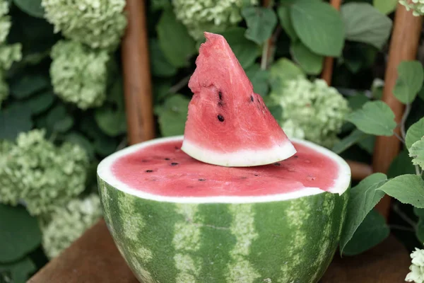 Half of a ripe red watermelon and a triangular slice of juicy ripe fruit on top. A ripe watermelon on an old chair near a lush bush of green hydrangea. The concept of healthy delicious food in summer — Stock Photo, Image