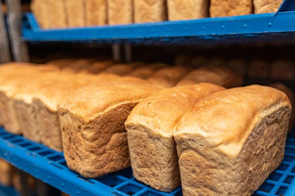 Loaves Bread Blue Plastic Trays Close Fresh Bread — Stock Photo, Image