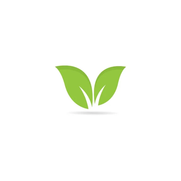 Diseño Plantilla Logotipo Hoja Árbol Ecológico — Archivo Imágenes Vectoriales