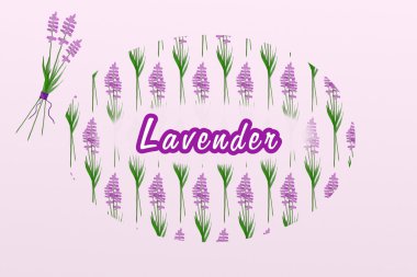 Lavanta çiçekleri suluboya