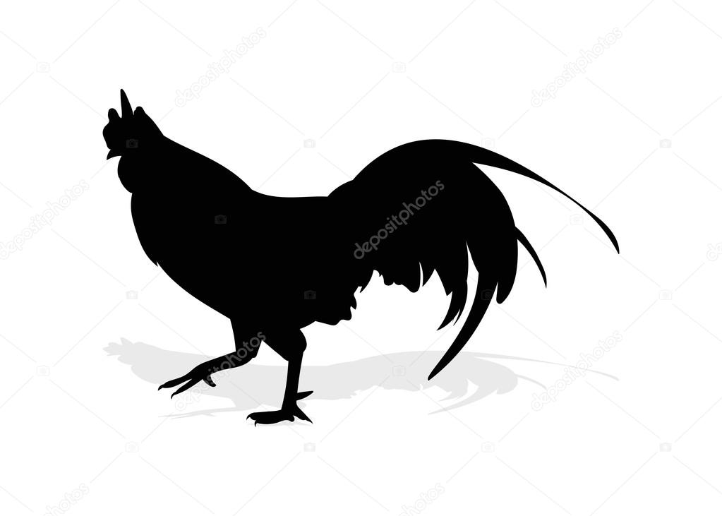 Black cock on white background — Stock Vector © traid 113144426