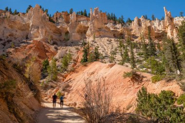 Bryce Canyon, Utah / USA - 13 Ekim 2020 Bryce Canyon Ulusal Parkı 'nda yürüyüş. Peekaboo Döngü Yolu