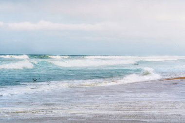 Fırtınalı okyanus dalgaları ve uçan kuşlar, soyut deniz manzarası ve bulut