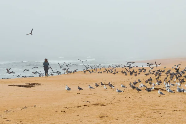 Rebanho Pássaros Praia Silhueta Mulher Marina Panorâmica Dia Nublado Nevoeiro — Fotografia de Stock