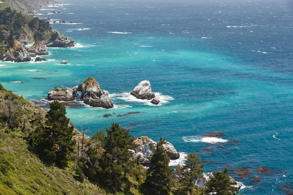 Big Sur Condado Monterey Califórnia Oceano Pacífico Falésias Plantas Nativas — Fotografia de Stock