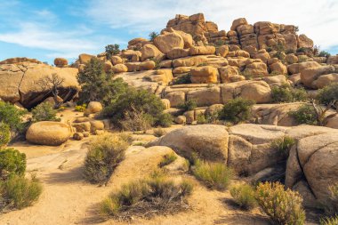 Joshua Tree Ulusal Parkı 'ndaki patika boyunca kayalar ve ağaçlar
