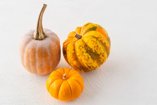 Pumpkins Close White Background Copy Space — Stock Photo, Image