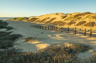 Kum tepeciklerinden geçen patika, Kaliforniya Costline