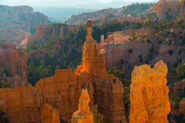 Bryce Canyon Ulusal Parkı, Utah 'ta sabah güneşinde kumtaşı kuleleri