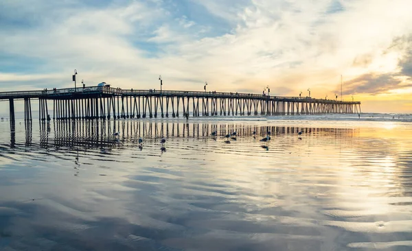 Pismo Beach Kalifornie Usa Ledna 2021 Historické Dřevěné Molo Pismo — Stock fotografie
