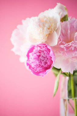 Pink peonies close up on pink background. Elegant bouquet in glass vase. Vertical banner, selective focus