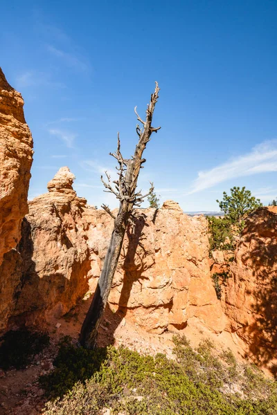 Pískovcové Věže Oblouky Národním Parku Bryce Canyon Utah — Stock fotografie