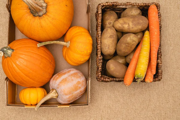 Potatoes Carrot Pumpkins Squash Close Basket Directly Harvest Season Agriculture — Fotografia de Stock