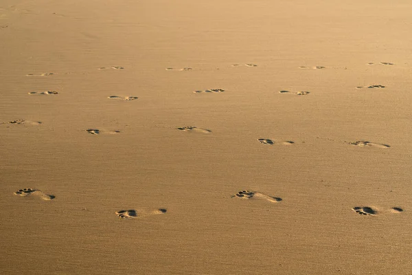 Spiaggia Sabbia Impronte Piedi Umani Texture Sfondo Astratto — Foto Stock