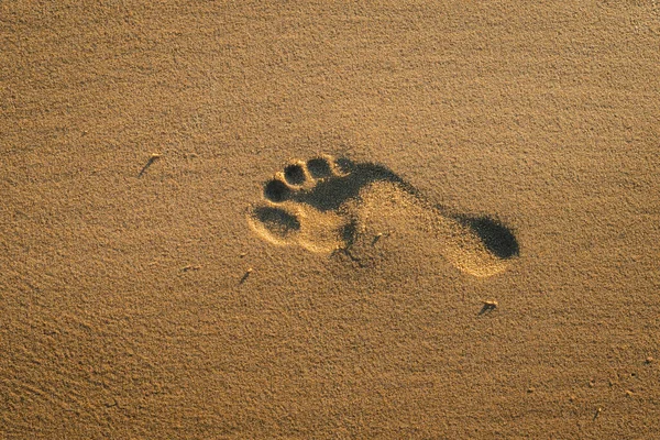 Impronta Piedi Umani Sulla Sabbia Sulla Spiaggia Tramonto Texture Sfondo — Foto Stock