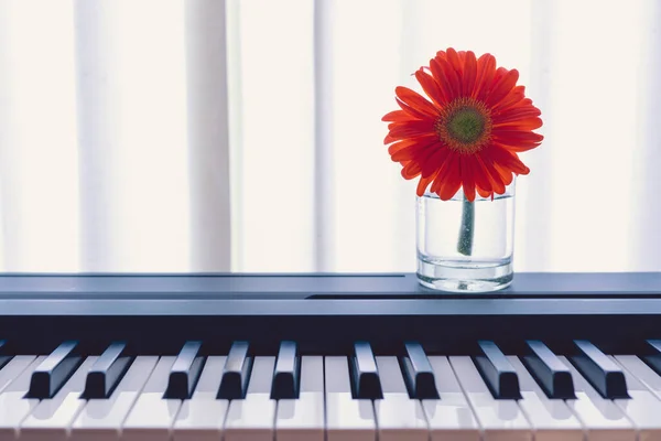 窗边钢琴上透明花瓶里的红花 柔和的自然光 — 图库照片
