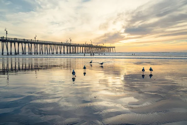 Pismo Beach California Usa Січня 2021 Історичний Дерев Яний Пірс — стокове фото