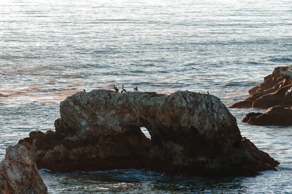 Gün Batımında Kayalık Kayalıklar California Pismo Plajı Ndaki Shell Plajı — Stok fotoğraf