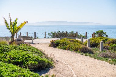 Okyanusa ve kayalıklara bakan uçurumun kenarındaki kütüklerden yapılmış yürüyüş bankları. Pismo Plajı, Kaliforniya