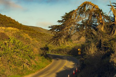 Yeşil tepeler, ormanlar ve yol işaretleri arasında dolambaçlı bir yol. Montana de Oro, Kaliforniya
