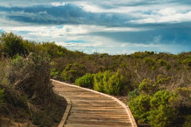 Oso Flaco Gölü Doğal alanı, Kaliforniya 'daki bitki örtüsü ve faunayı görmek için çeşitli doğal yaşam alanlarında ahşap tahta yürüyüş.