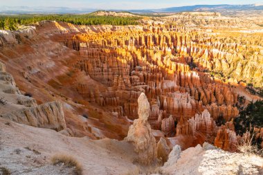 Bryce Canyon Ulusal Park amfi tiyatrosu. Kum taşı kuleleri ve çam ağacı ormanı, günbatımı