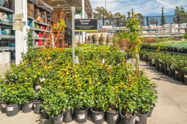 Santa Maria, Kaliforniya, ABD - 4 Nisan 2021. Bahçe merkezi ve çiçek pazarı. Çiçekler, ağaçlar, bitkiler, farklı türde saksı toprağı ve organik gübreler, bahar mevsimi