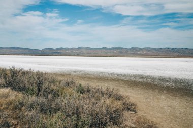 Soda Gölü, Carrizo Ovası Ulusal Anıt, Kaliforniya. Lakeshore, yerli bitkiler, dağlar ve arka planda bulutlu gökyüzü