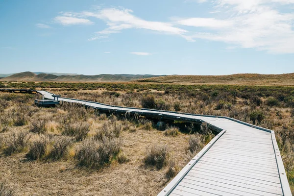 Soda Lake Uferpromenade Carrizo Plain National Monument San Luis Obispo — Stockfoto