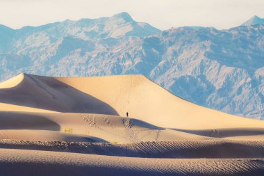 Çölde yürüyüş. Mesquite Düz Kum Tepeleri Ölüm Vadisi Ulusal Parkı, Kaliforniya