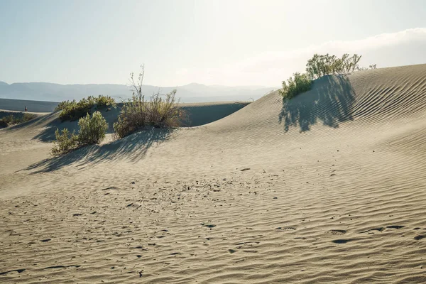 Sand Dunes Desert Mesquite Flat Sand Dunes Death Valley National — Stock Photo, Image