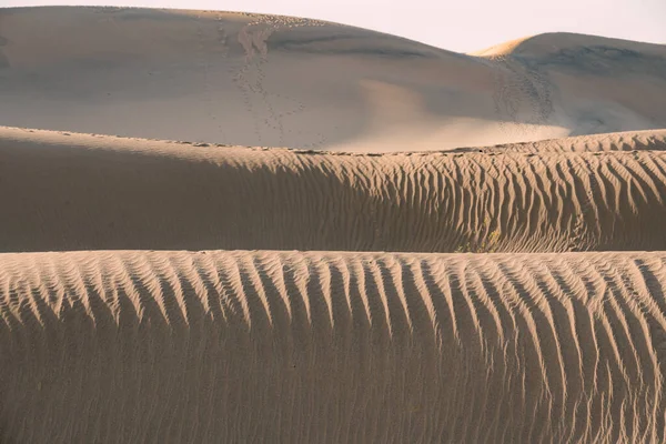 Zandduinen Woestijn Van Dichtbij Bekijken Rimpels Spelen Textuur Mesquite Sand — Stockfoto